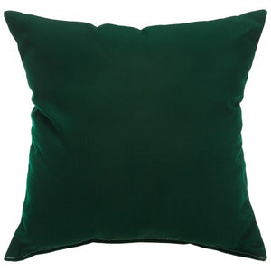 Sunbrella 24"X24" Square Throw Pillow - Canvas Forest Green 